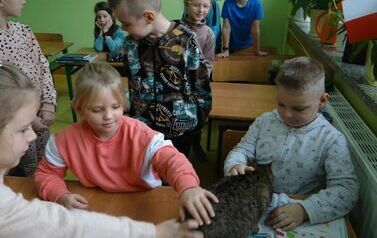 Dzieci oglądają kota (11)