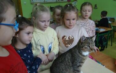 Dzieci oglądają kota (10)