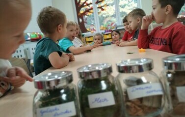 spacer leśną ścieżką (27)