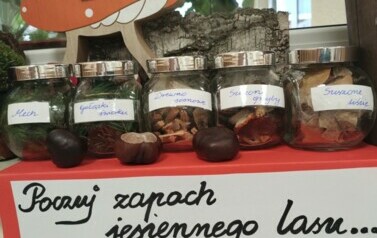 spacer leśną ścieżką (9)