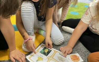 dzień dyni (11)