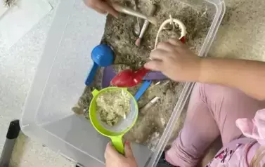 Dzień dinozaura (16)