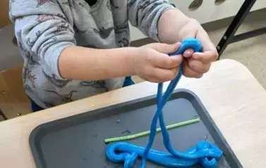 Warszrtatyy slime (32)