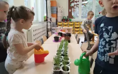 Wiosenny ogr&oacute;dek w Misiach (6)