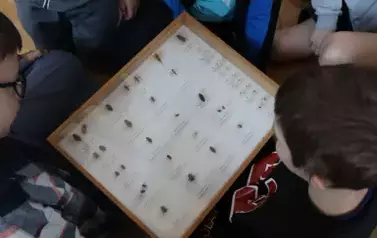 spotkanie z leśnikiem (7)