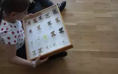 spotkanie z leśnikiem (6)