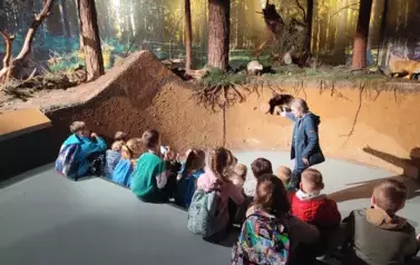 Wycieczka do Białowieży (14)