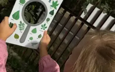 Detektywi przyrodniczy- Zajączki (12)