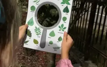 Detektywi przyrodniczy- Zajączki (5)