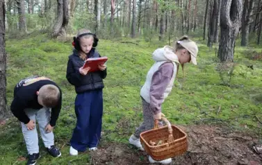 Uczniowie na grzybobraniu 6
