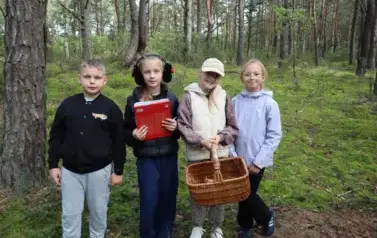Uczniowie na grzybobraniu 5