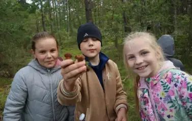 Uczniowie na grzybobraniu 3