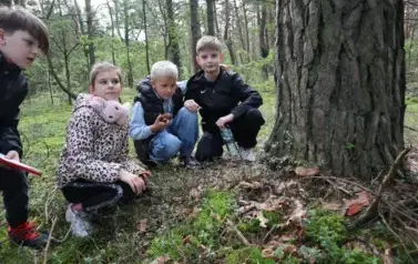 Uczniowie na grzybobraniu  1