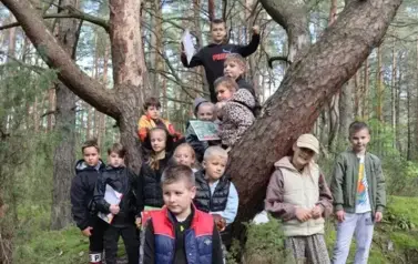Uczniowie na drzewie