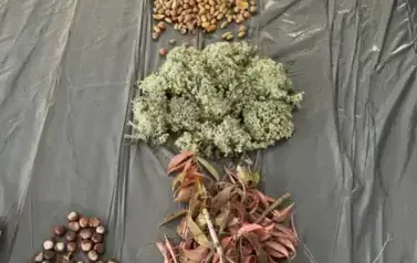 Multisensoryka Jesienna (4)