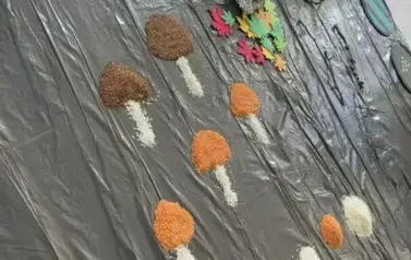 Multisensoryka Jesienna (3)