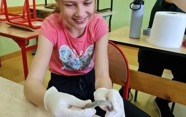 Uczniowie dokonują obserwacji twardości kości po przeprowadzeniu doświadczenia