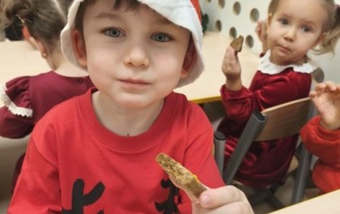 Misie gotowe na Święta (12)