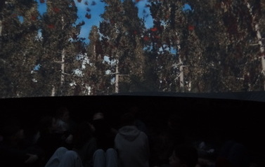 planetarium (7)