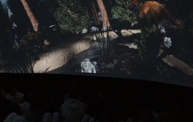 planetarium (3)