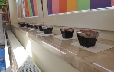 Witaj wiosno u Zajączk&oacute;w