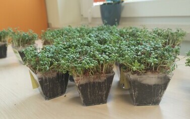 Witaj wiosno u Zajączkow (14)