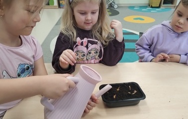 Witaj wiosno u Zajączkow (5)