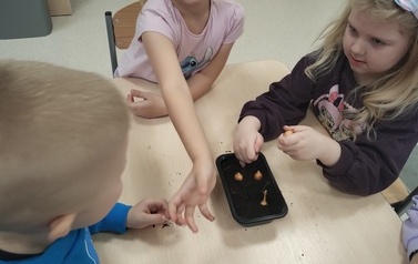 Witaj wiosno u Zajączkow (4)