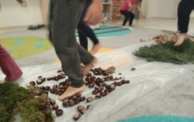 spacer leśną ścieżką (4)