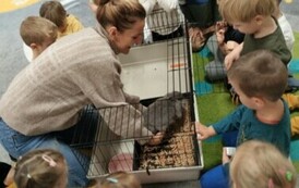 Kr&oacute;lik niezwykły gość w punkcie przedszkolnym (10)