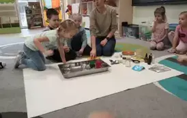 Eksperymenty w grupie Misie (21)