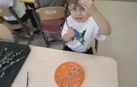 Wiosenne kotki w Misiach (5)