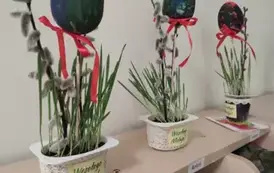 Misie i Święta Wielkanocne (11)