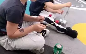 Misie grać potrafią na wszystkim (12)