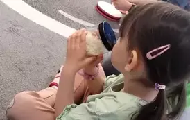 Misie grać potrafią na wszystkim (6)