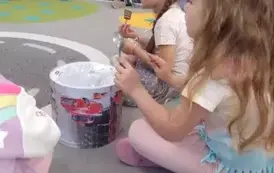 Misie grać potrafią na wszystkim (5)