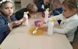 Misie grać potrafią na wszystkim (1)