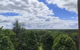 Wycieczka do Białowieży (19)