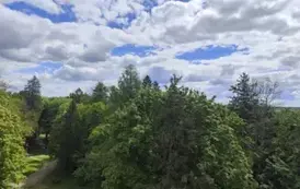 Wycieczka do Białowieży (18)