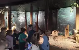 Wycieczka do Białowieży (12)