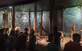 Wycieczka do Białowieży (11)