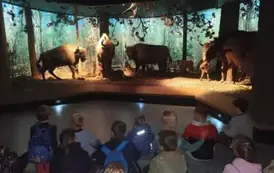 Wycieczka do Białowieży (10)