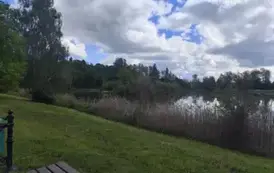 Wycieczka do Białowieży (2)