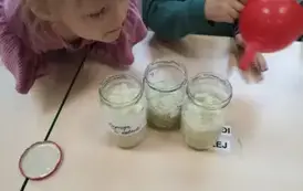 Zajączki zrobiły syrop z cebuli (16)