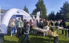 SKOwicze bawią się podczas pikniku (59)