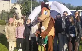 SKOwicze bawią się podczas pikniku (30)