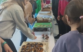 Dziewczynki sprzedają ciasta i babeczki.