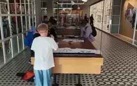 Uczniowie klas 1-4 na wycieczce (96)