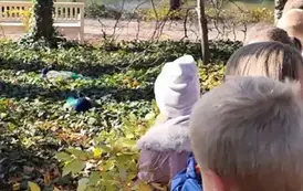 Uczniowie klas 1-4 na wycieczce (26)