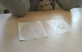 Zajączki stają się Małymi Wielkimi Odkrywcami (14)